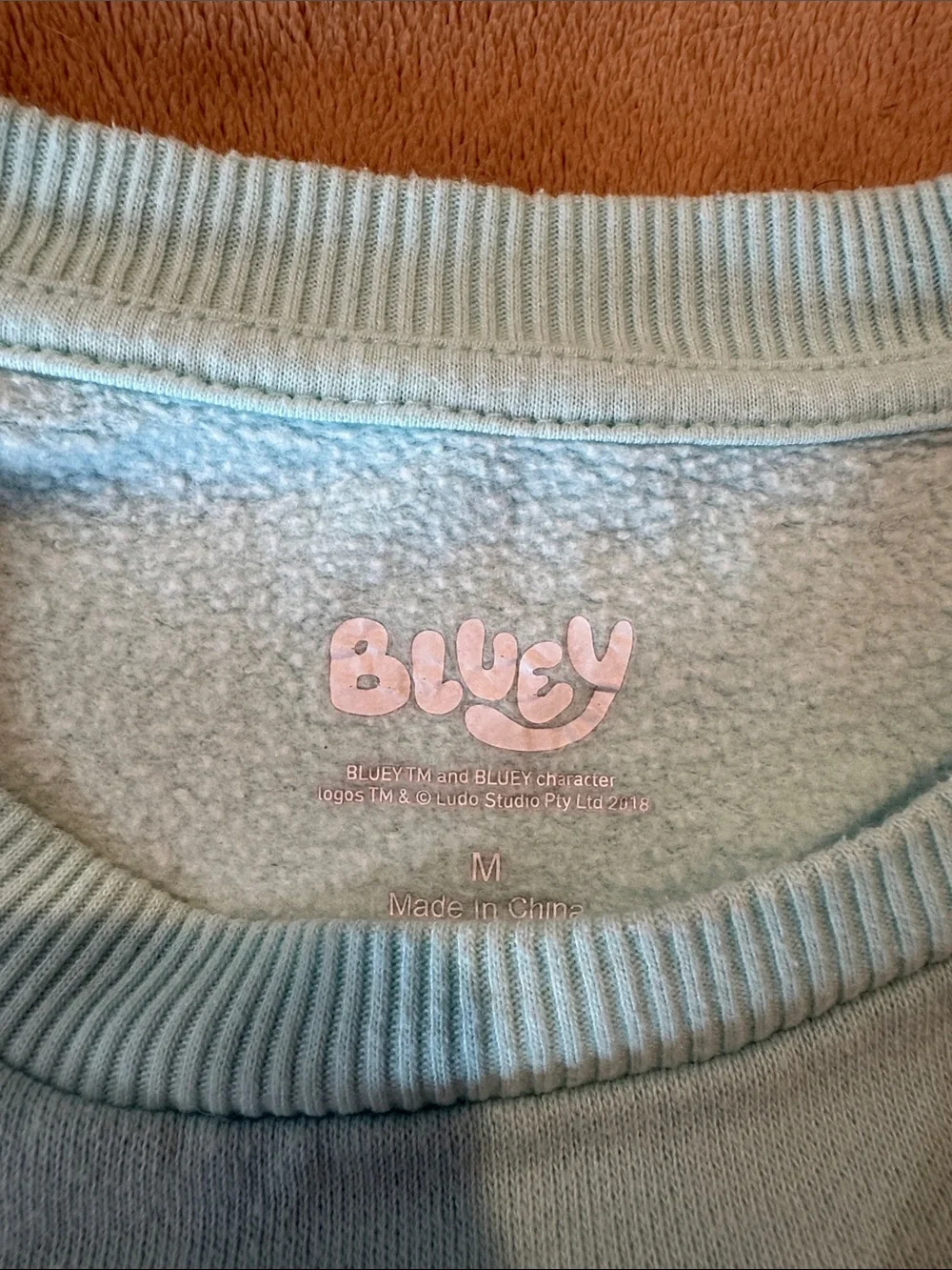 Light Blue & White 'Bluey' Kids Crewneck Sweatshirt